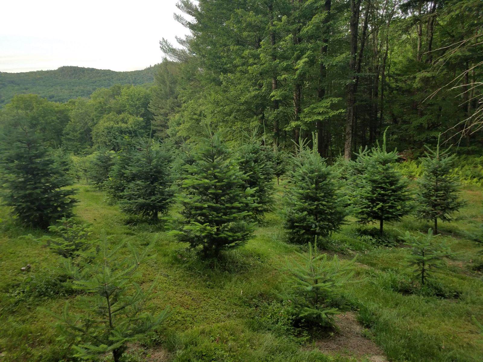 What’s happening on the farm